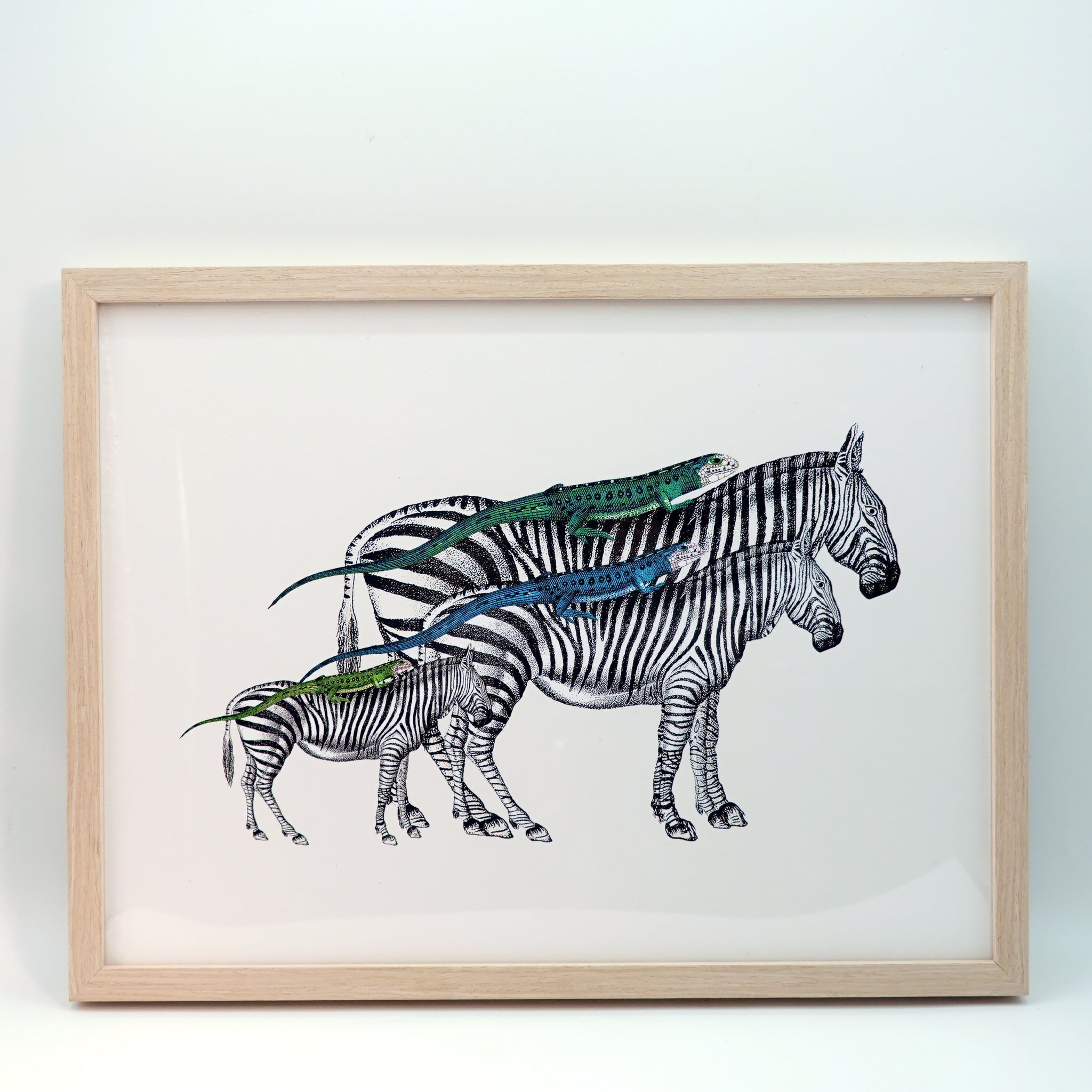 アートフレーム ポスター  Zebras and Lizards Old Encyclopedia Denmark 北欧 デンマーク 【額送A】