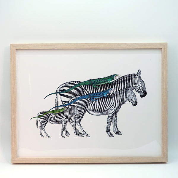アートフレーム ポスター  Zebras and Lizards Old Encyclopedia Denmark 北欧 デンマーク 【額送A】