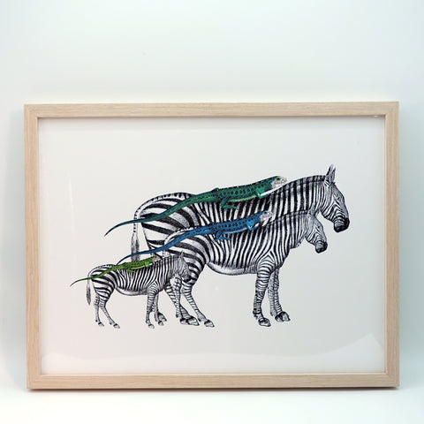 アートフレーム ポスター  Zebras and Lizards Old Encyclopedia Denmark 北欧 デンマーク 【額送A】