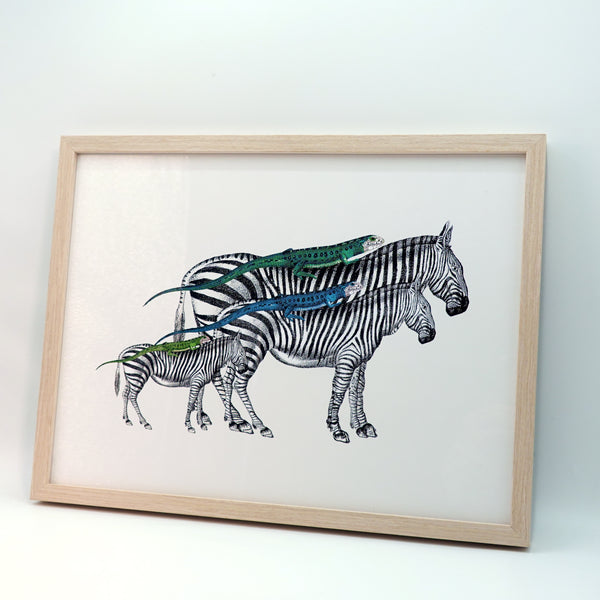 アートフレーム ポスター  Zebras and Lizards Old Encyclopedia Denmark 北欧 デンマーク 【額送A】
