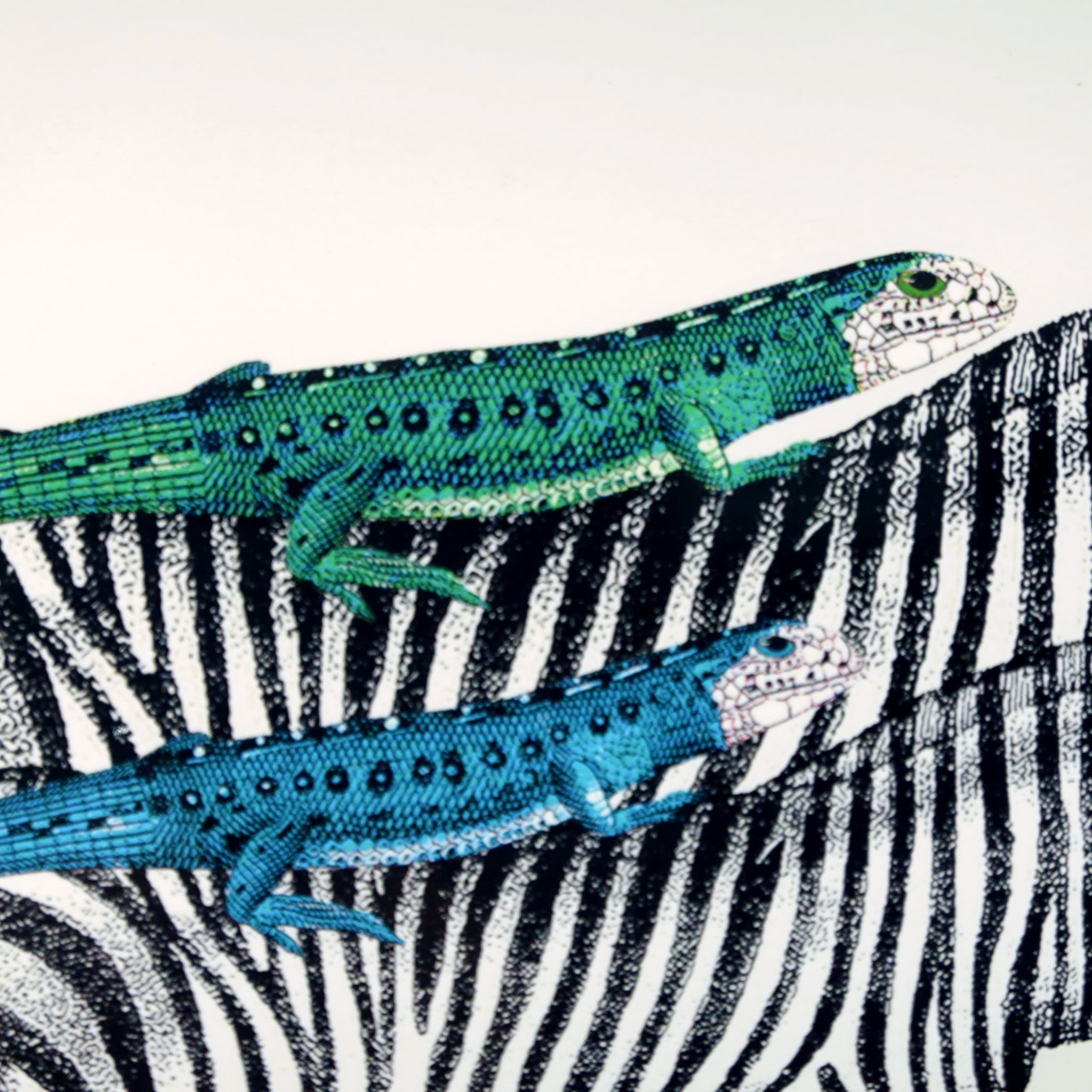 シマウマ アート ポスター(額) 楽天市場】シマウマ（絵画｜アート・美術品・骨董品・民芸品