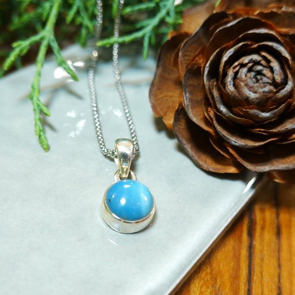 【新品】 ネックレス  シルバー スウェディッシュブルー アクセサリー ジュエリー スウェーデン Swedish Blue Plain Pendant Round S MediumBlue Sweden