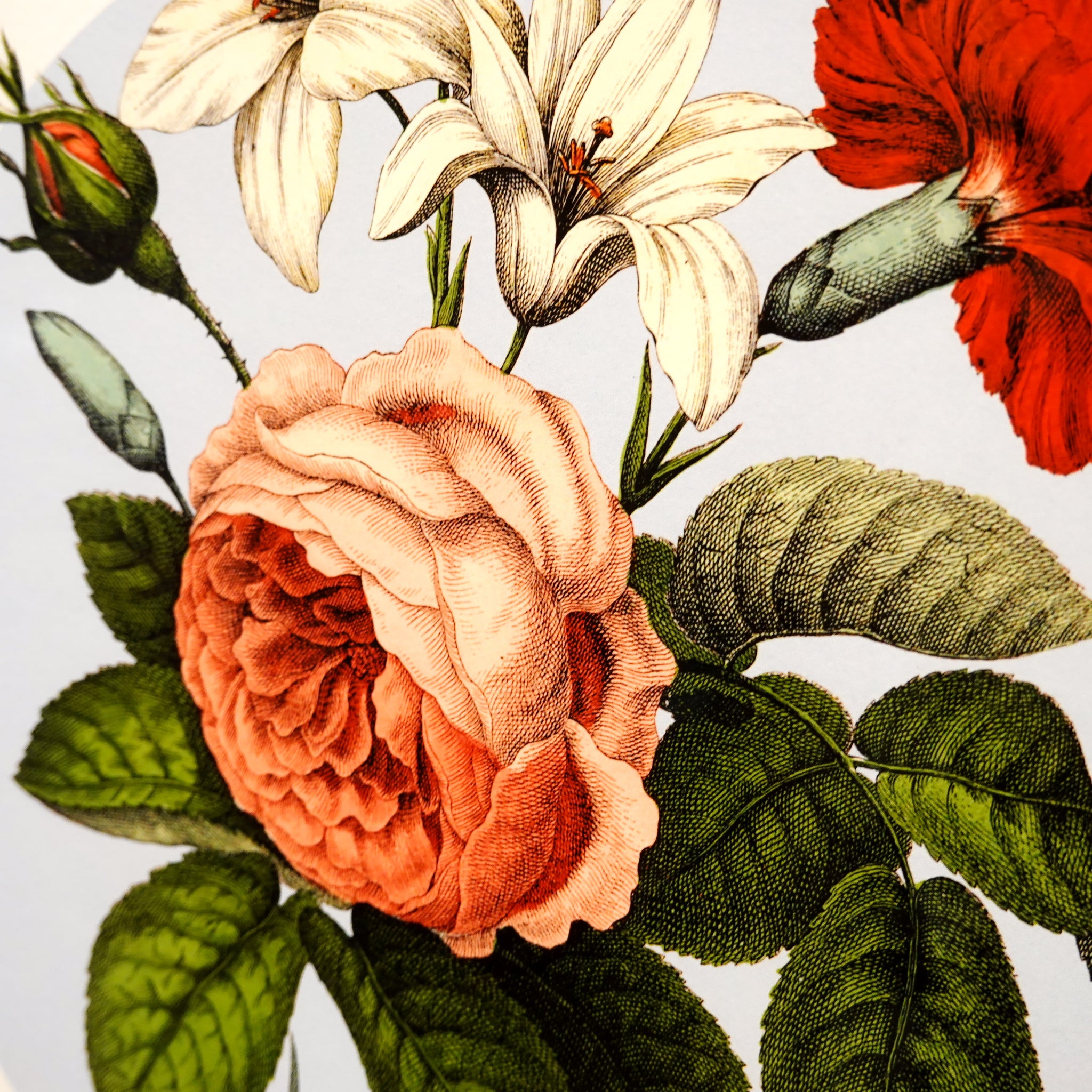 アートフレーム ポスター Summer Frower 1. Old Encyclopedia