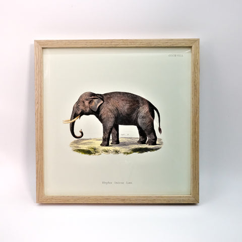 アートフレーム ポスター Elephant Old Encyclopedia Denmark 北欧 デンマーク