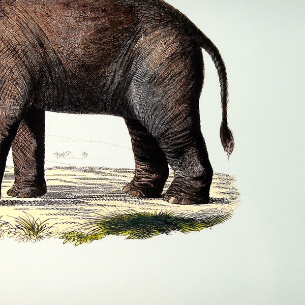 アートフレーム ポスター Elephant Old Encyclopedia Denmark 北欧 デンマーク
