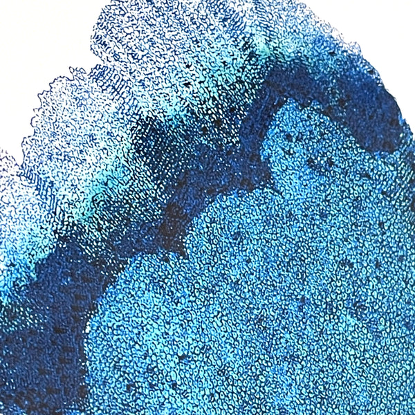 アートフレーム ポスター Triple Algae including Big Blue Old Encyclopedia Denmark 北欧 デンマーク【額送A】