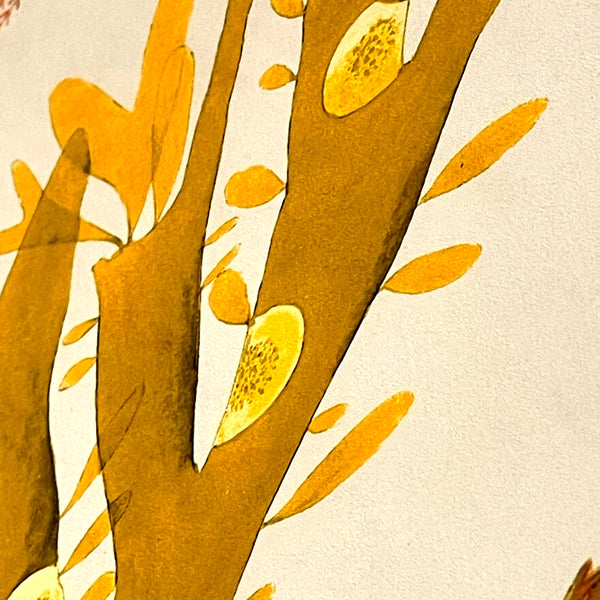 アートフレーム ポスター Triple Algae including Yellow ＆Green  Old Encyclopedia Denmark 北欧 デンマーク【額送A】