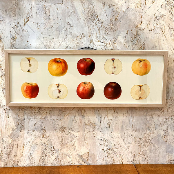 アートフレーム ポスター Apple Old Encyclopedia Denmark 北欧 デンマーク【額送A】