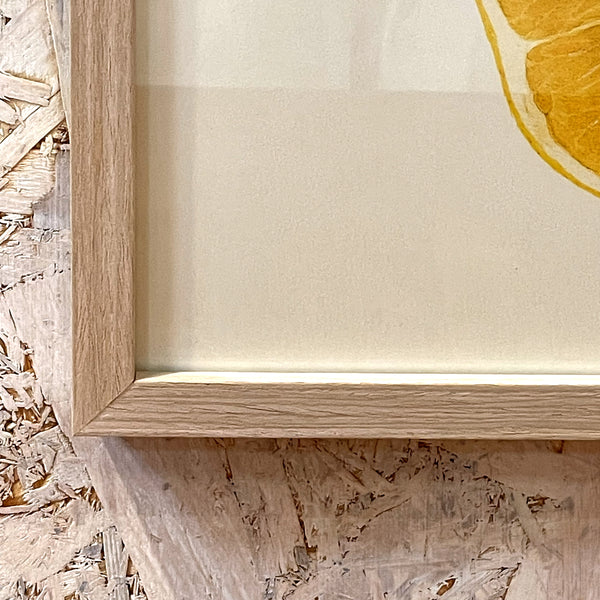 アートフレーム ポスターLemon Old Encyclopedia Denmark 北欧 デンマーク 【額送A】