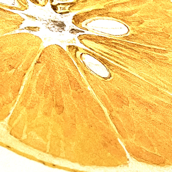 アートフレーム ポスターLemon Old Encyclopedia Denmark 北欧 デンマーク 【額送A】