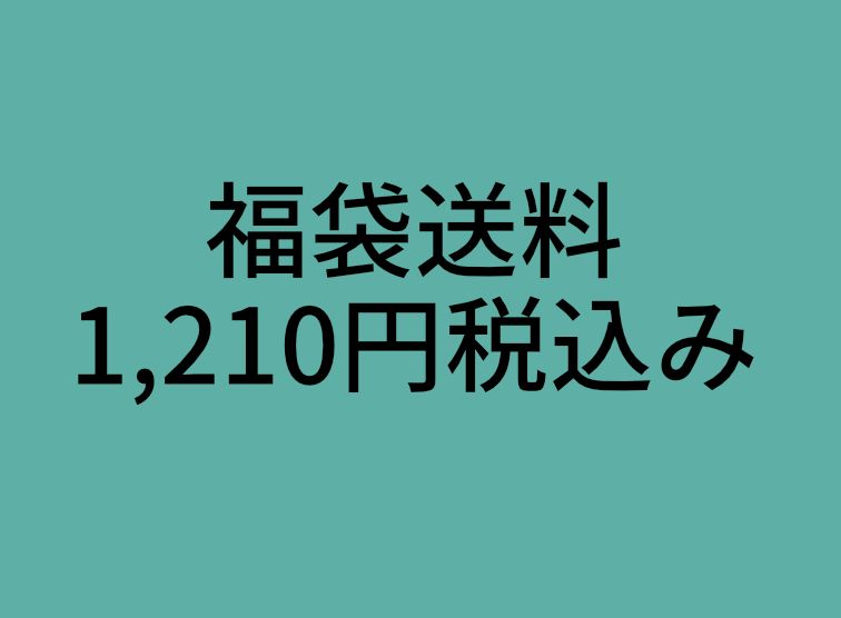 送料お支払い1210円税込